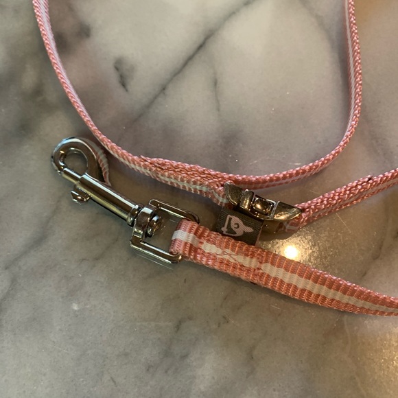NEW DOGO 24” Small Dog Leash, Pineapple Pink, Never Used, Tags Still Attached - Picture 4 of 4